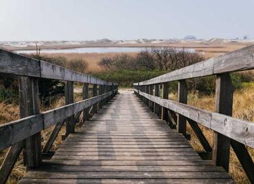 electron创建你的第一个应用程序