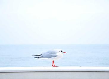 极简零依赖 PDF 生成库