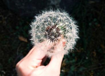 JavaScript 添加事件绑定的三种方法