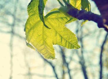 JavaScript 添加事件绑定的三种方法