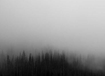 图片批量下载工具1.2