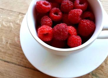 极简零依赖 PDF 生成库