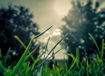 WeClone用微信聊天记录微调大语言模型