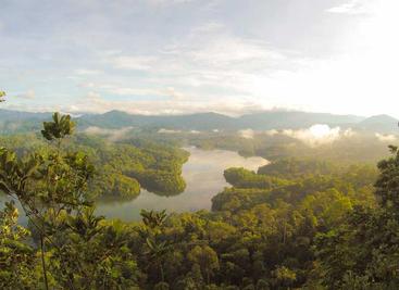 electron创建你的第一个应用程序