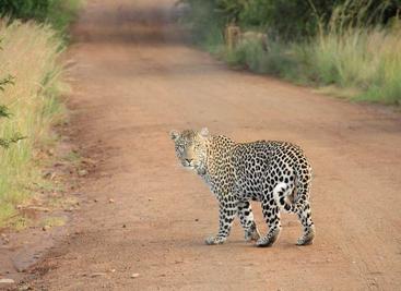 2026新Emoji草案出炉：橡皮擦、酸黄瓜还有「这些」！iOS 27预计登场