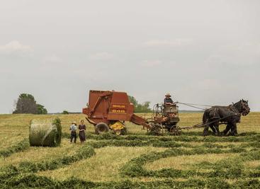 图片批量下载工具1.2
