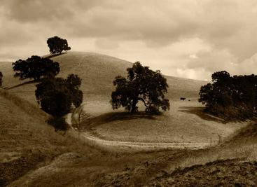 免费天龙八部自动材料加工
