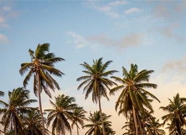 极简零依赖 PDF 生成库