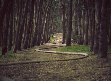 electron创建你的第一个应用程序