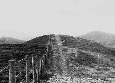 极简零依赖 PDF 生成库